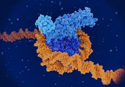 Discover How to Use CoRSIV Panels to Detect Systemic Inter-Individual Epigenetic Variation Discover How to Use CoRSIV Panels to Detect Systemic Inter-Individual Epigenetic Variation